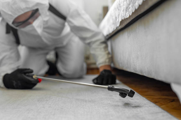 Professional Bed Bug Control technician working in Crawford County County, IA